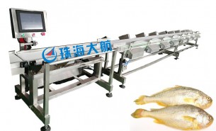 海鮮大小分級機(jī) 珠海大航供應(yīng) 15年匠心定制質(zhì)量保證