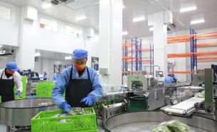 蔬菜配重機：解決人工成本與效率問題，助力蔬菜加工發(fā)展