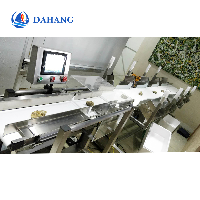 1706081856997993.jpg weight sorting machine 2.jpg