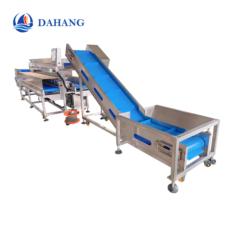 自動(dòng)上料、智能配重與包裝解決方案 | 魚類禽類加工整線 | 珠海大航